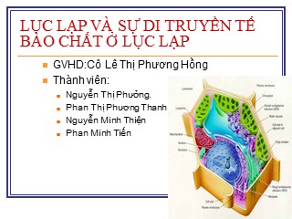 Báo cáo Lục lạp và sự di truyền tế bào chất ở lục lạp - Nguyễn Thị Phưởng