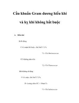 Cầu khuẩn Gram dương hiếu khí và kỵ khí không bắt buộc