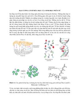Giáo trình Đại cương Cơ sở hóa học của sinh học phân tử
