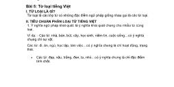 Giáo trình Tiếng Việt - Văn học và phương pháp giảng dạy (Phần 2)