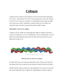 Tài liệu Collagen
