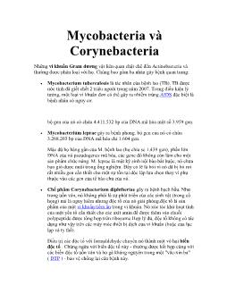 Tài liệu Mycobacteria và Corynebacteria