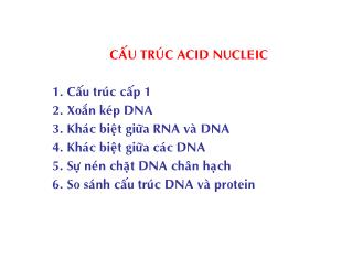 Bài giảng Tổng quan về di truyền học - Bài 1: Cấu trúc Acid nucleic