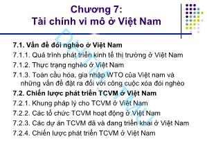 Bài giảng Tài chính vi mô - Chương 7: Tài chính vi mô ở Việt Nam