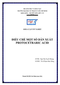 Khóa luận Điều chế một số dẫn xuất protocetraric Acid