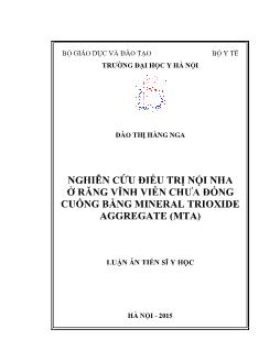 Luận án Nghiên cứu điều trị nội nha ở răng vĩnh viễn chưa đóng cuống bằng mineral trioxide aggregate (mta)