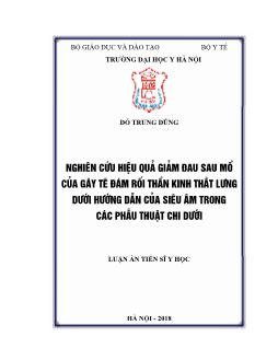 Luận án Nghiên cứu hiệu quả giảm đau sau mổ của gây tê đám rối thần kinh thắt lưng dưới hướng dẫn của siêu âm trong các phẫu thuật chi dưới