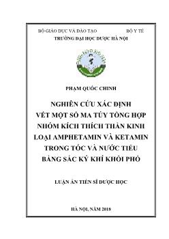 Luận án Nghiên cứu xác định vết một số ma túy tổng hợp nhóm kích thích thần kinh loại amphetamin và ketamin trong tóc và nước tiểu bằng sắc ký khí khối phổ