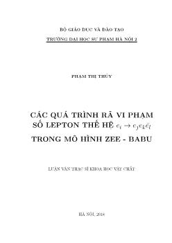 Luận văn Các quá trình rã vi phạm số lepton thế hệ Ei -> ejekel trong mô hình zee - Babu