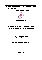 Research about short and medium - Term results of transcatheter closure of perimembranous VSD using the symmetrical double - disc device