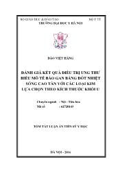 Tóm tắt Luận án Đánh giá kết quả điều trị ung thư biểu mô tế bào gan bằng đốt nhiệt sóng cao tần với các loại kim lựa chọn theo kích thước khối u