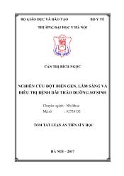 Tóm tắt Luận án Nghiên cứu đột biến gen, lâm sàng và điều trị bệnh đái tháo đường sơ sinh