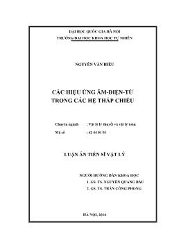 Luận án  Các hiệu ứng âm - Điện - từ trong các hệ thấp chiều