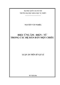 Luận án Hiệu ứng âm - Điện và từ trong các hệ bán dẫn một chiều