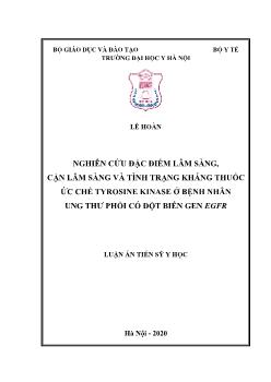 Luận án Nghiên cứu đặc điểm lâm sàng, cận lâm sàng và tình trạng kháng thuốc ức chế tyrosine kinase ở bệnh nhân ung thư phổi có đột biến gen egfr