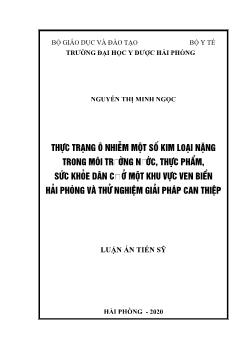 Luận án Thực trạng ô nhiễm một số kim loại nặng trong môi trường nước, thực phẩm, sức khỏe dân cư ở một khu vực ven biển hải phòng và thử nghiệm giải pháp can thiệpThực trạng ô nhiễm một số kim loại nặng trong môi trường nước, thực phẩm, sức khỏe dân cư ở