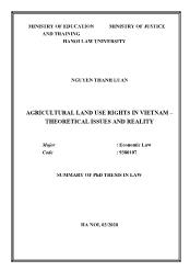 Agricultural land use rights in Vietnam – Theoretical issues and reality