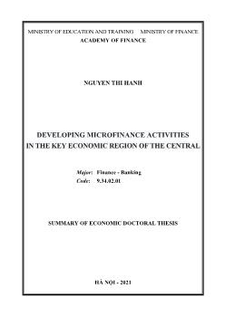 Developing microfinance activities in the key economic region of the central