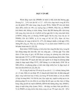 Luận văn Nghiên cứu điều trị phình động mạch não cổ rộng bằng phương pháp can thiệp nội mạch