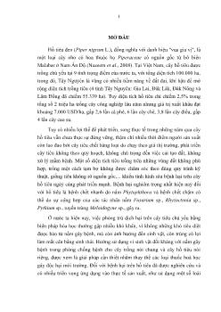 Luận văn Nghiên cứu vi sinh vật nội sinh đối kháng nấm gây bệnh thực vật trên cây hồ tiêu tại Đắk Lắk