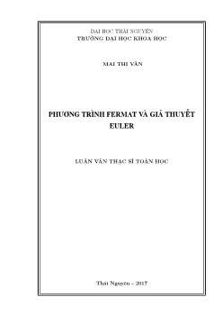 Luận văn Phương trình fermat và giả thuyết euler