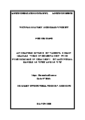 Tóm tắt Luận án Anticancer effects of vaccine strain measles virus in combination with nimotuzumab in treatment of laryngeal cancer in vitro and in vivo