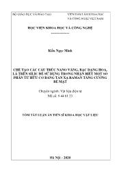 Tóm tắt Luận án Chế tạo các cấu trúc nano vàng, bạc dạng hoa, lá trên silic để sử dụng trong nhận biết một số phân tử hữu cơ bằng tán xạ raman tăng cường bề mặt