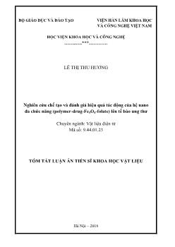 Tóm tắt Luận án Nghiên cứu chế tạo và đánh giá hiệu quả tác động của hệ nano đa chức năng (polymer - Drug - Fe3O4 - folate) lên tế bào ung thư