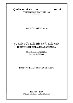 Tóm tắt Luận án Nghiên cứu kiểu hình và kiểu gen ở bệnh nhi beta - Thalassemia