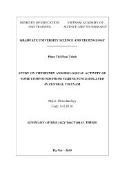 Tóm tắt Luận án Study on chemistry and biological activity of some compounds from marine fungi isolated in central Vietnam