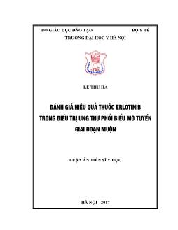 Luận án Đánh giá hiệu quả thuốc erlotinib trong điều trị ung thư phổi biểu mô tuyến giai đoạn muộn