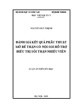 Luận án Đánh giá kết quả phẫu thuật mở bể thận có nội soi hỗ trợ điều trị sỏi thận nhiều viên