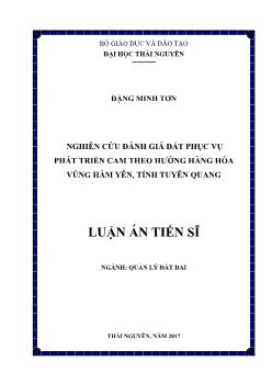 Luận án Nghiên cứu đánh giá đất phục vụ phát triển cam theo hướng hàng hóa vùng Hàm Yên, tỉnh Tuyên Quang