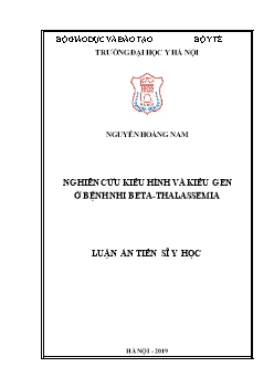 Luận án Nghiên cứu kiểu hình và kiểu gen của bệnh nhi beta - Thalassemia