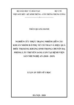 Luận án Nghiên cứu thực trạng nhiễm liên cầu khuẩn nhóm B ở phụ nữ có thai và hiệu quả điều trị bằng kháng sinh trong chuyển dạ phòng lây truyền sang con ở bệnh viện sản nhi Nghệ An (2018 - 2019)