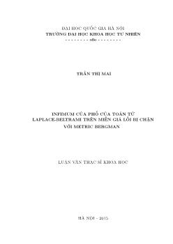 Luận văn Infimum của phổ của toán tử laplace - Beltrami trên miền giả lồi bị chặn với metric bergman