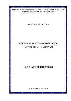 Performance of microfinance institutions in Vietnam