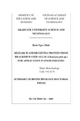 Research and receiving protein from brackish water algae (chaetomorpha sp.) for application in food industry