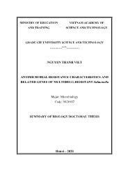 Tóm tắt Luận án Antimicrobial resistance characteristics and related genes of multidrug-Resistant salmonella