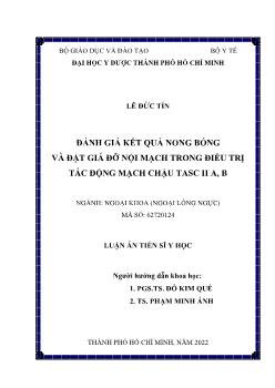 Luận án Đánh giá kết quả nong bóng và đặt giá đỡ nội mạch trong điều trị tắc động mạch chậu TASC II A, B