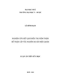 Luận án Nghiên cứu kết quả điều trị viêm thận bể thận cấp tắc nghẽn do sỏi niệu quản