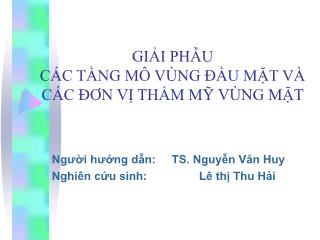 Bài thuyết trình Giải phẫu các tầng mô vùng đầu mặt và các đơn vị thẩm mỹ vùng mặt - Lê thị Thu Hải