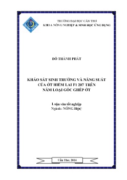 Luận văn Khảo sát sinh trưởng và năng suất của ớt hiểm lai f1 207 trên năm loại gốc ghép ớt