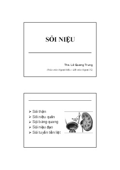 Bài giảng Bệnh Sỏi niệu