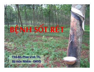 Bài giảng Bệnh sốt rét