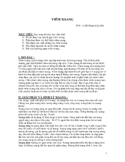 Bài giảng Bệnh Viêm xoang