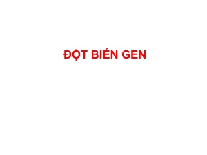 Bài giảng Đột biến gen