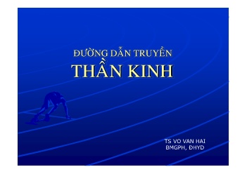 Bài giảng Đường dẫn truyền thần kinh