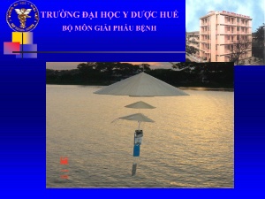 Bài giảng Giải phẫu bệnh - Tổn thương cơ bản tế bào và mô