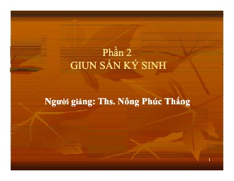 Bài giảng Giun đũa (Ascaris lumbricoides)